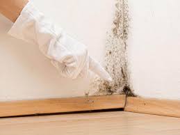 Best Water Damage & Mold Remediation  in Friendship Heights Village, MD